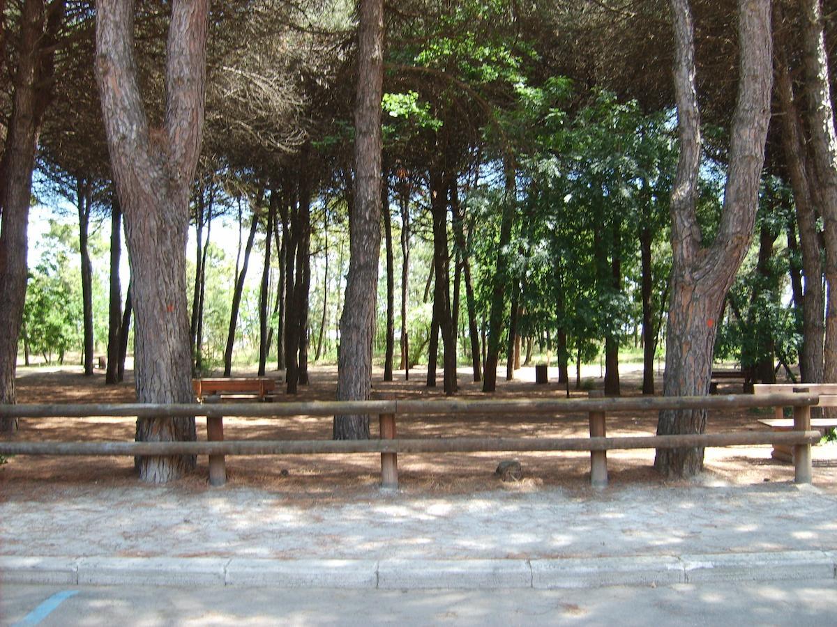 Hotel Valentino Pinarella Εξωτερικό φωτογραφία